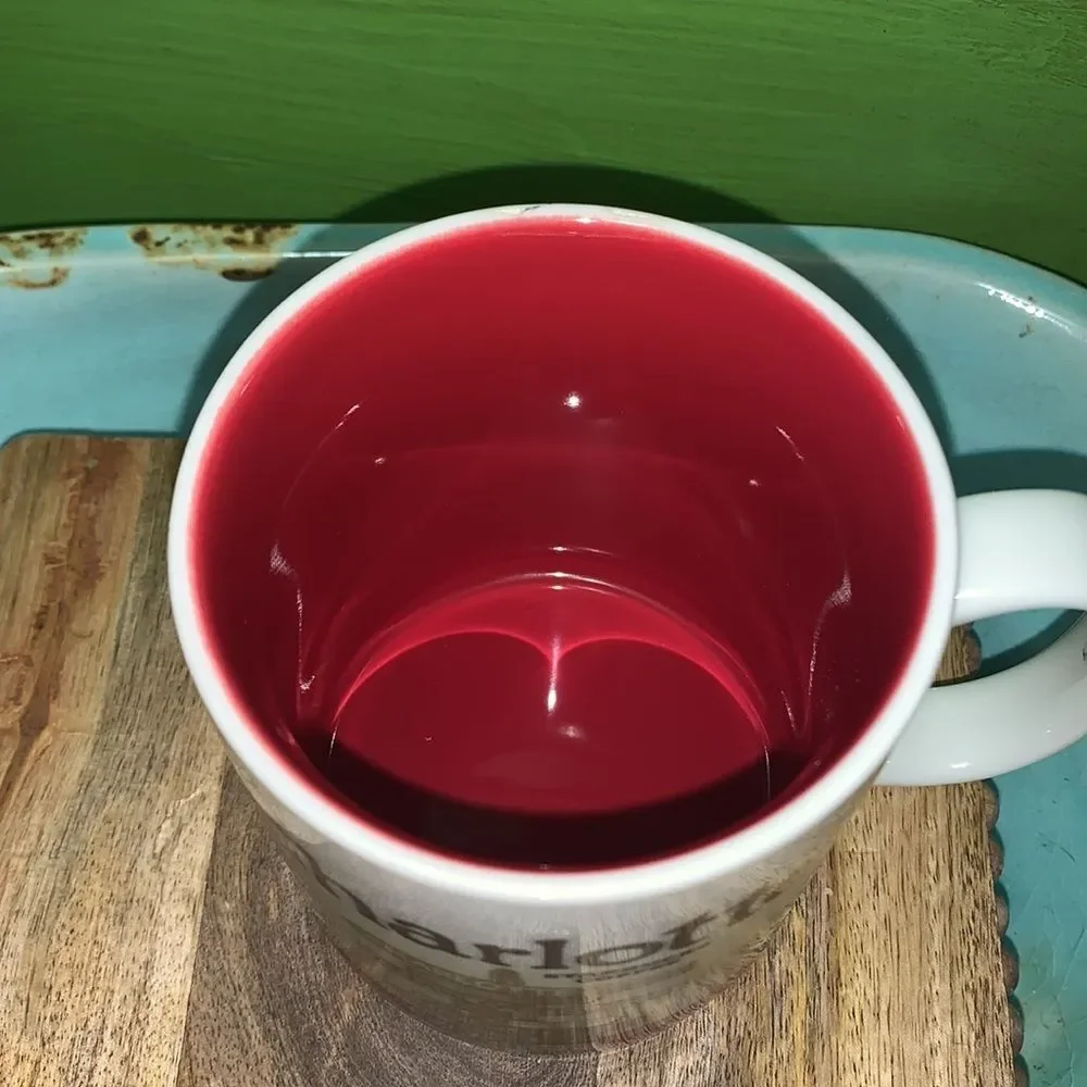Starbucks Charlotte Mug 16oz Global Icon City Collector Series 2009 N Carolina